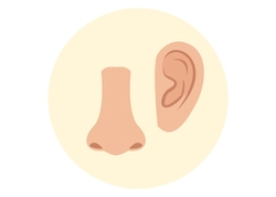 Fül és légutak egészsége